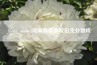 吉林河南消防学校招生分数线