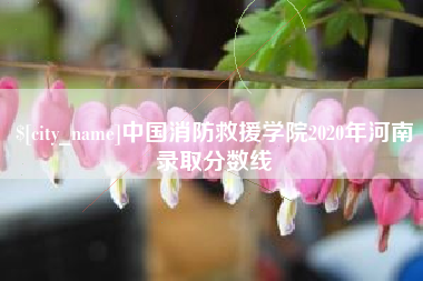 吉林中国消防救援学院2020年河南录取分数线