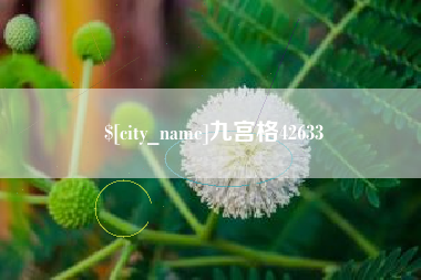 吉林九宫格42633