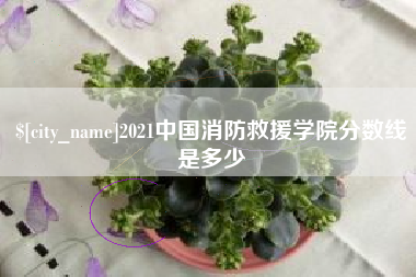 吉林2021中国消防救援学院分数线是多少