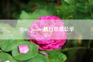 吉林执行信息公示