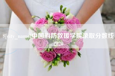 吉林中国消防救援学院录取分数线2020