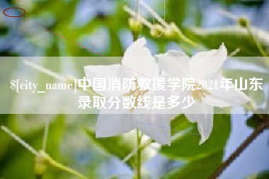 吉林中国消防救援学院2021年山东录取分数线是多少