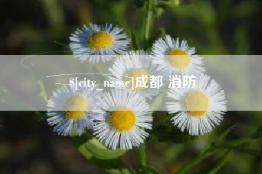 吉林成都 消防