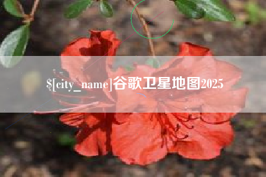 吉林谷歌卫星地图2025
