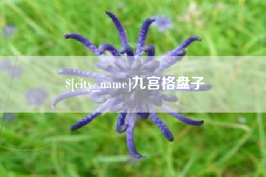 吉林九宫格盘子