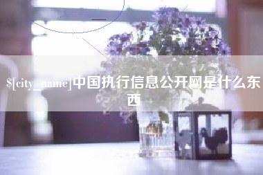 吉林中国执行信息公开网是什么东西