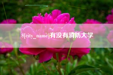 吉林有没有消防大学