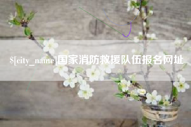 吉林国家消防救援队伍报名网址