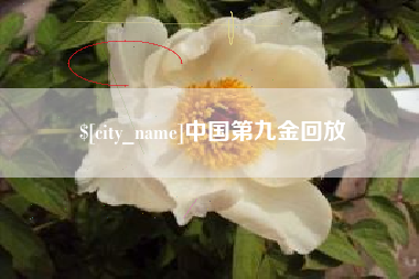 吉林中国第九金回放