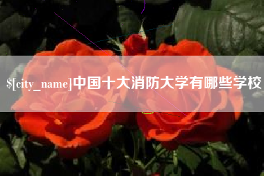 吉林中国十大消防大学有哪些学校