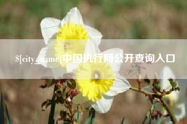 吉林中国执行网公开查询入口