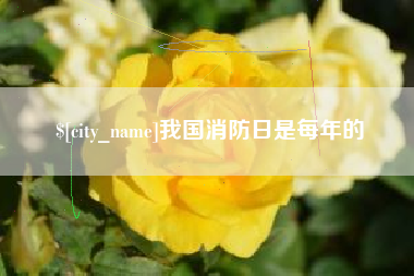 吉林我国消防日是每年的