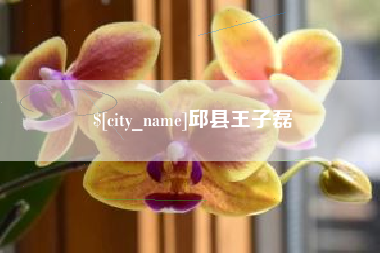 吉林邱县王子磊
