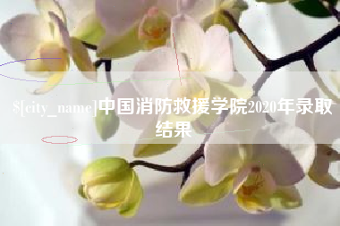 吉林中国消防救援学院2020年录取结果