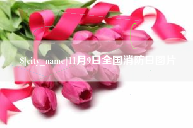 吉林11月9日全国消防日图片