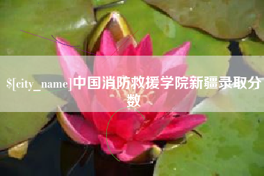 吉林中国消防救援学院新疆录取分数