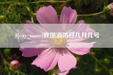吉林我国消防日几月几号