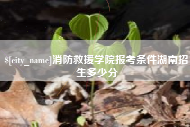吉林消防救援学院报考条件湖南招生多少分