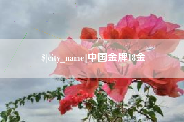 吉林中国金牌18金