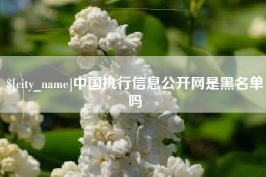 吉林中国执行信息公开网是黑名单吗