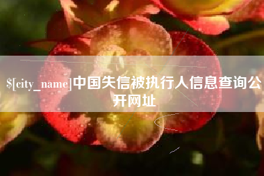 吉林中国失信被执行人信息查询公开网址