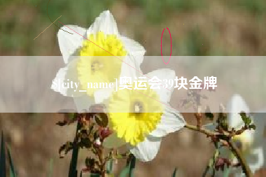 吉林奥运会39块金牌