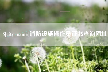 吉林消防设施操作员证书查询网址