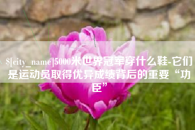 吉林5000米世界冠军穿什么鞋-它们是运动员取得优异成绩背后的重要“功臣”