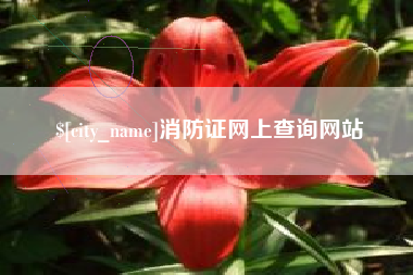 吉林消防证网上查询网站