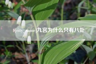 吉林九宫为什么只有八卦