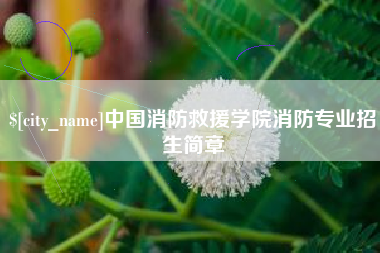 吉林中国消防救援学院消防专业招生简章