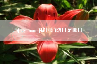 吉林我国消防日是哪日