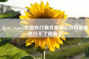 吉林中国执行案件查询公开网都是执行不了得案子