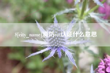 吉林消防ccc认证什么意思