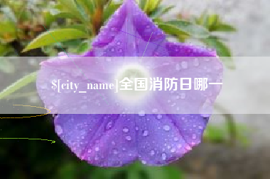 吉林全国消防日哪一