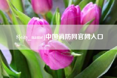 吉林中国消防网官网入口