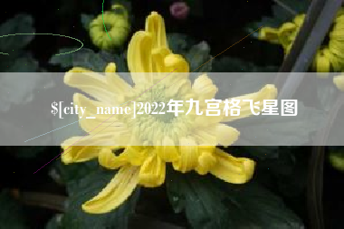 吉林2022年九宫格飞星图