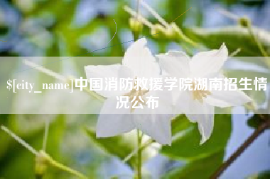吉林中国消防救援学院湖南招生情况公布