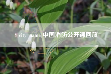 吉林中国消防公开课回放