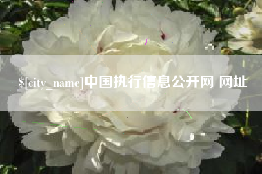 吉林中国执行信息公开网 网址