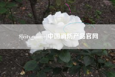 吉林中国消防产品官网