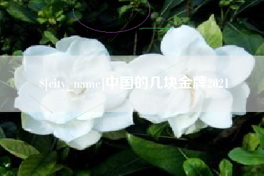 吉林中国的几块金牌2021