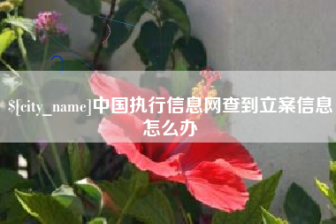 吉林中国执行信息网查到立案信息怎么办