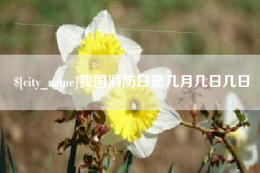 吉林我国消防日是几月几日几日