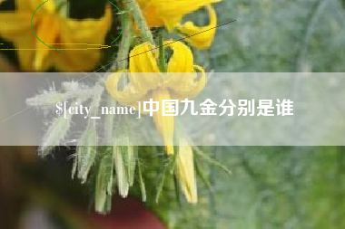 吉林中国九金分别是谁