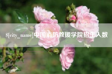 吉林中国消防救援学院招生人数