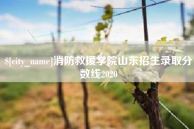 吉林消防救援学院山东招生录取分数线2020