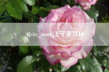 吉林王子豪百科