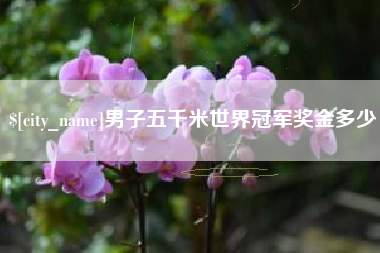 吉林男子五千米世界冠军奖金多少